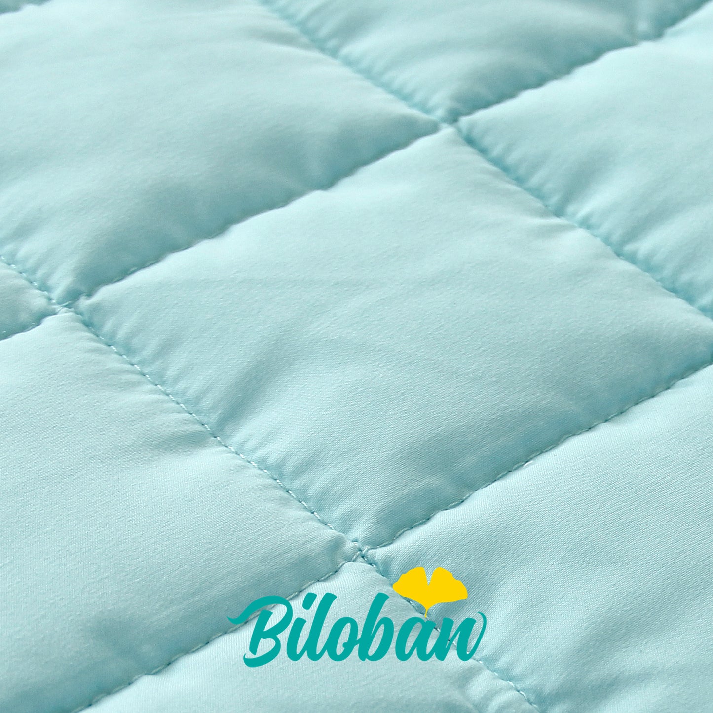 Toddler Nap Mat with Pillow and Blanket, Cot Nap Mats for Daycare Preschool, Lightweight Portable Travel Sleeping Bag for Kids, Warm & Skin-Friendly, Blue Whale, 50" x 21" Visit the Biloban Store