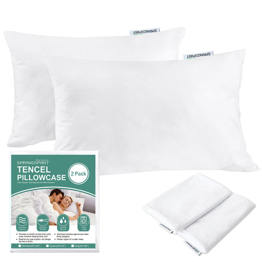Tencel Waterproof Zippered Pillowcases with Hidden Zipper, Queen Size, 2 Pack, Silk Soft & Skin Friendly - Biloban Online Store