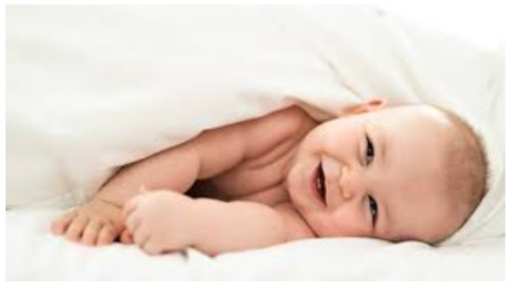 Why Our Biloban Crib Sheets are 100% Organic Cotton