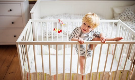 Best Crib Teething Rail Protector