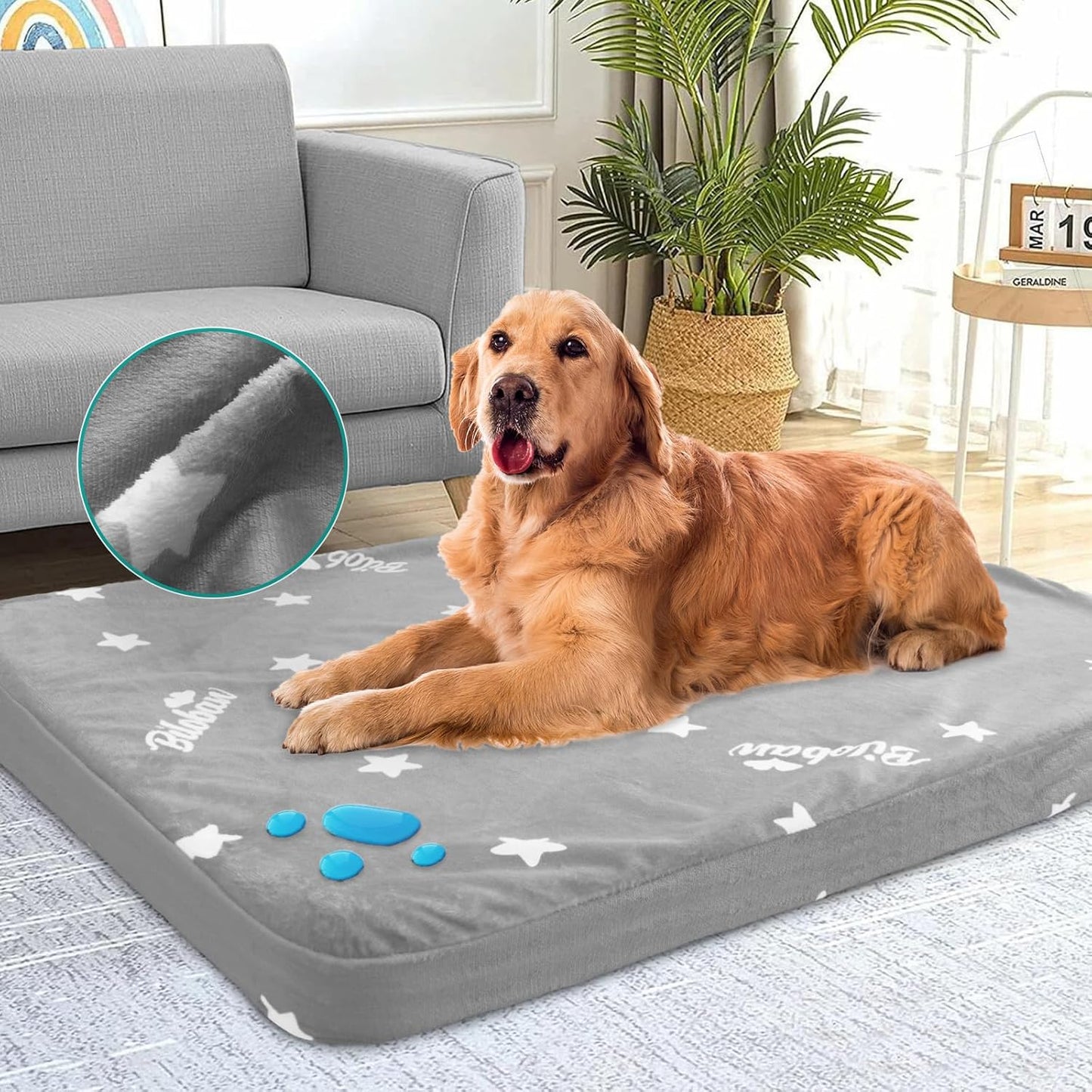Dog Bed Puppy Sleeping On Pee Pad Puppy Pads How To Stop A Dog