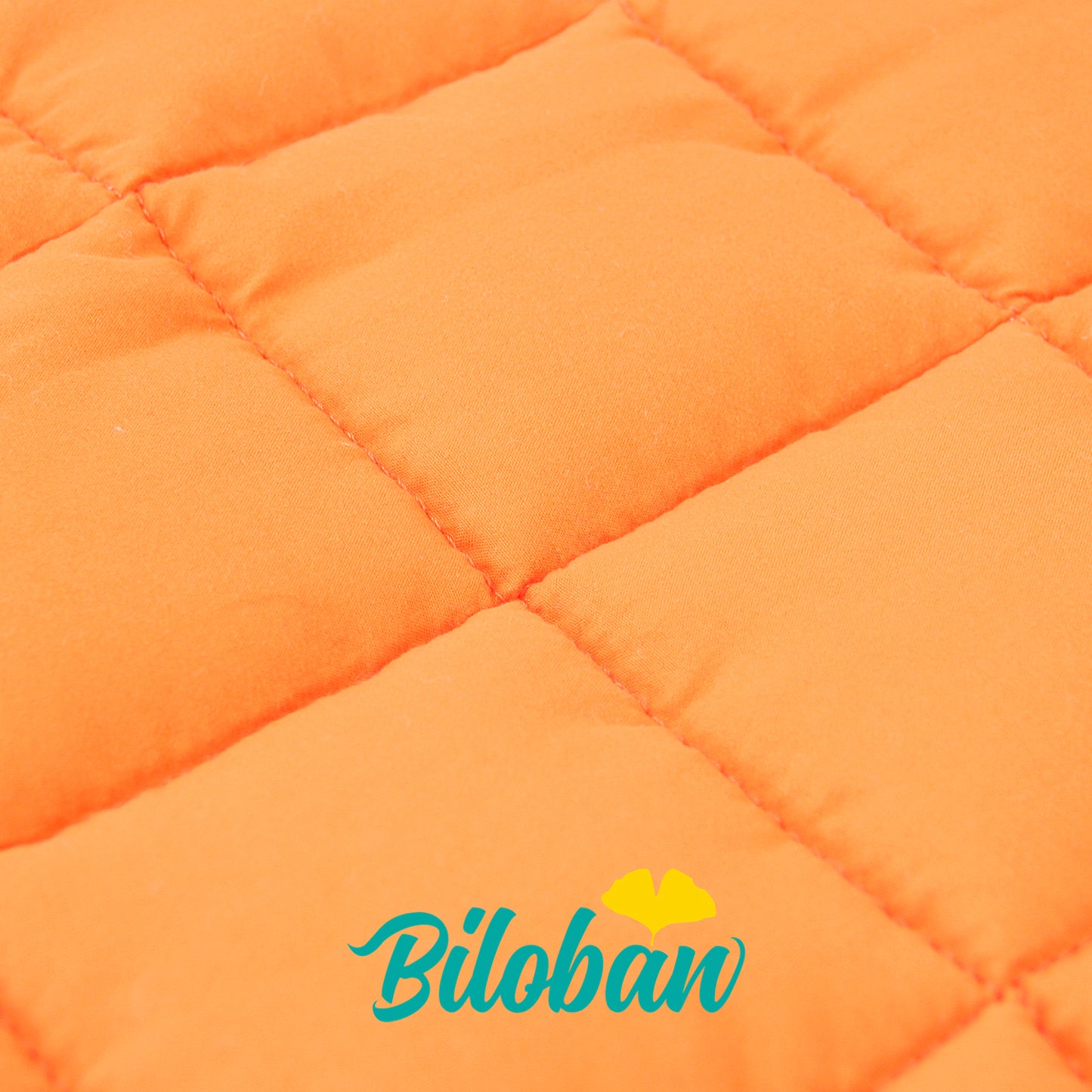 Toddler Nap Mat - Convenient, Portable, A Carry Handle, Perfect for Daycare, Fish Pattern - Biloban Online Store
